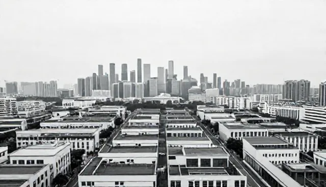 系统优化在技术外包中的实际应用与问题分析